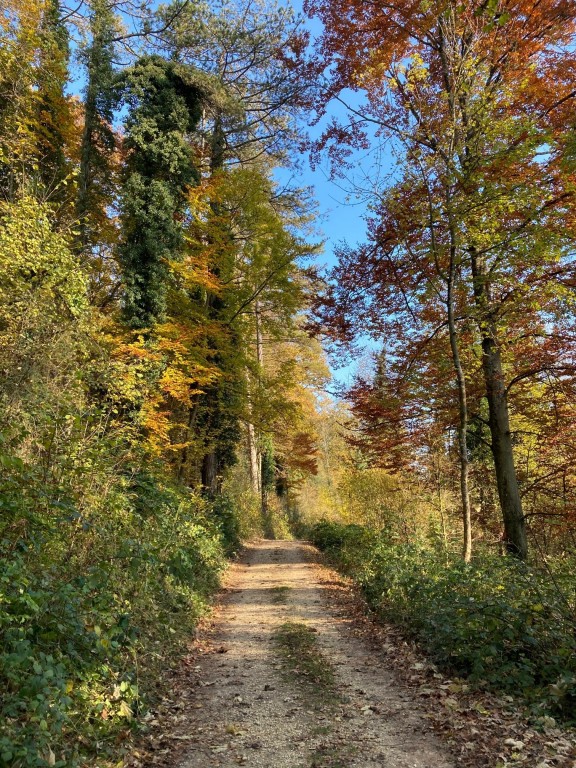 Galleries/Automne.jpg