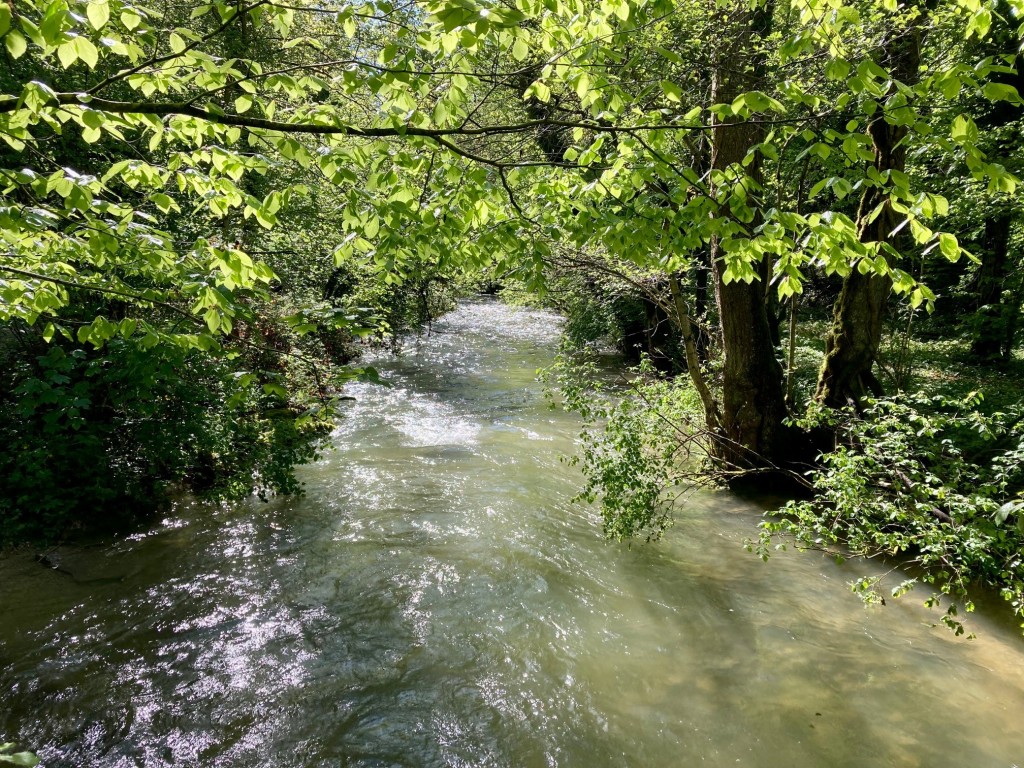 Galleries/NozonForet.jpg