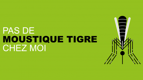 Moustique tigre - prévention