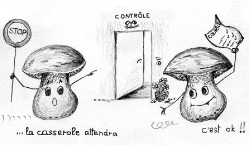 Contrôle des champignons